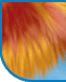 material animation