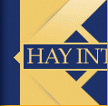 hay ineriors website design by d3